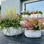 Keramični lonec Rustic posoda 46.014 - 24 cm